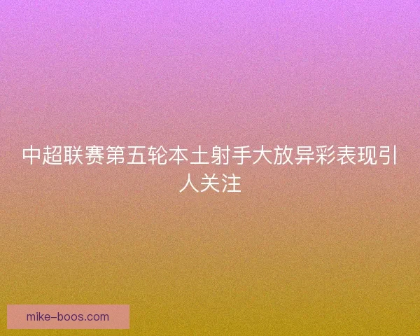 中超联赛第五轮本土射手大放异彩表现引人关注