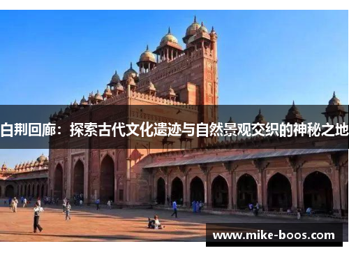 白荆回廊:探索古代文化遗迹与自然景观交织的神秘之地