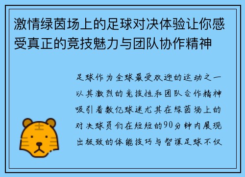 激情绿茵场上的足球对决体验让你感受真正的竞技魅力与团队协作精神